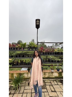 Anjali Vardhaman